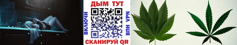 Бошки марихуана семена  купить  сайты  Спас-Деменск 
